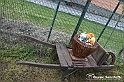VBS_2915 - Creazioni con tappi di sughero usati dei Fratelli Cossu